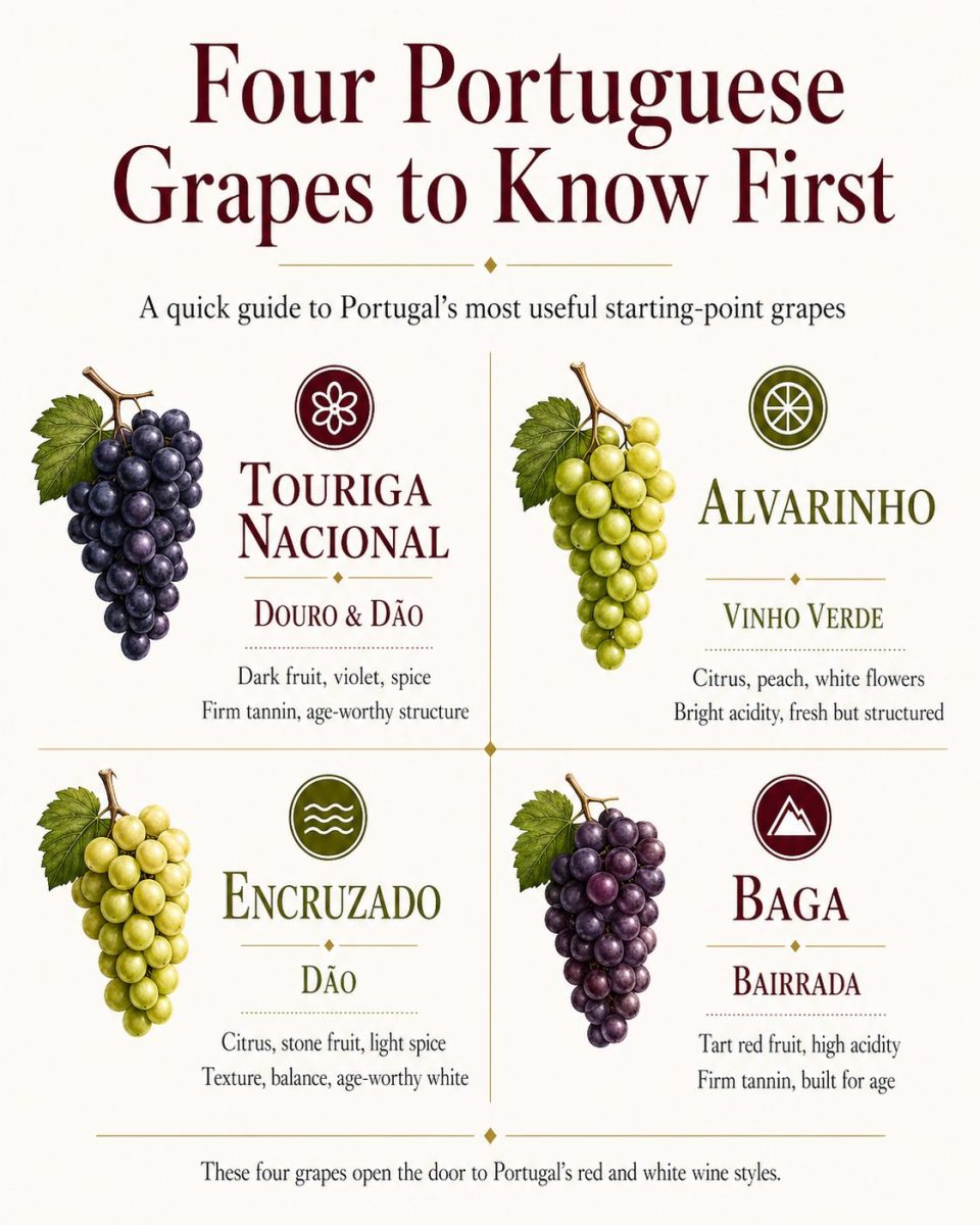 Four Portuguese grapes to know first infographic showing Touriga Nacional, Alvarinho, Encruzado and Baga with regions and tasting notes