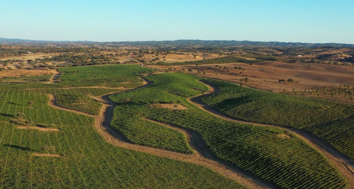 Wine Hotels in Alentejo