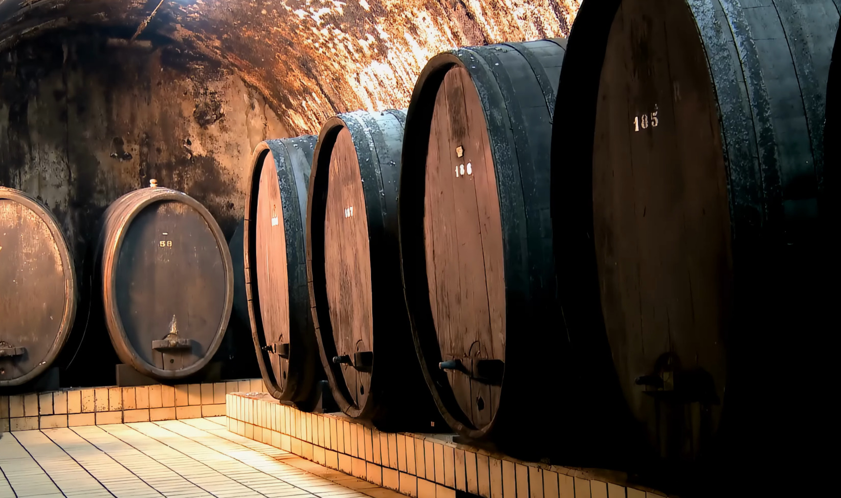 Best Wine Cellar Tour in Porto