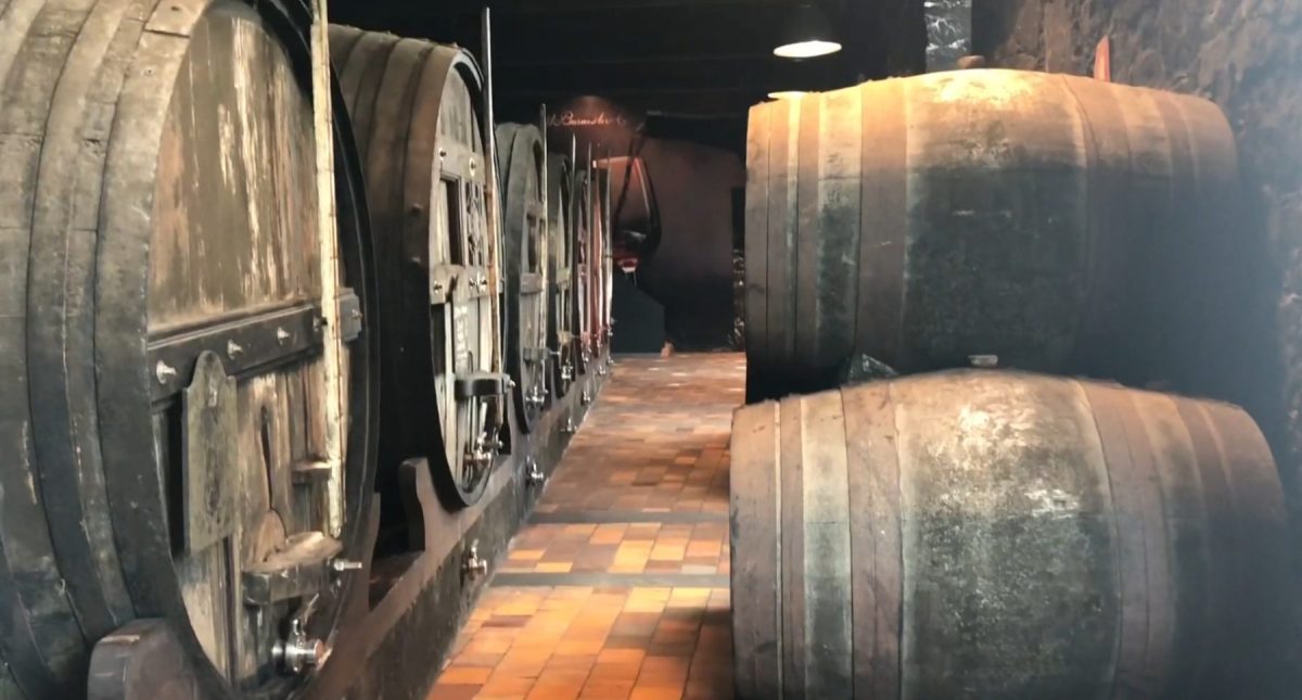Cálem Cellar Tour