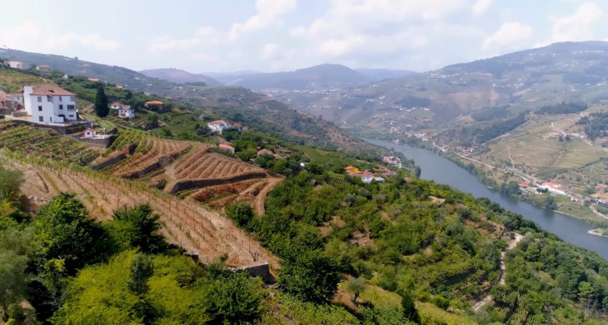 ouro Demarcated Region