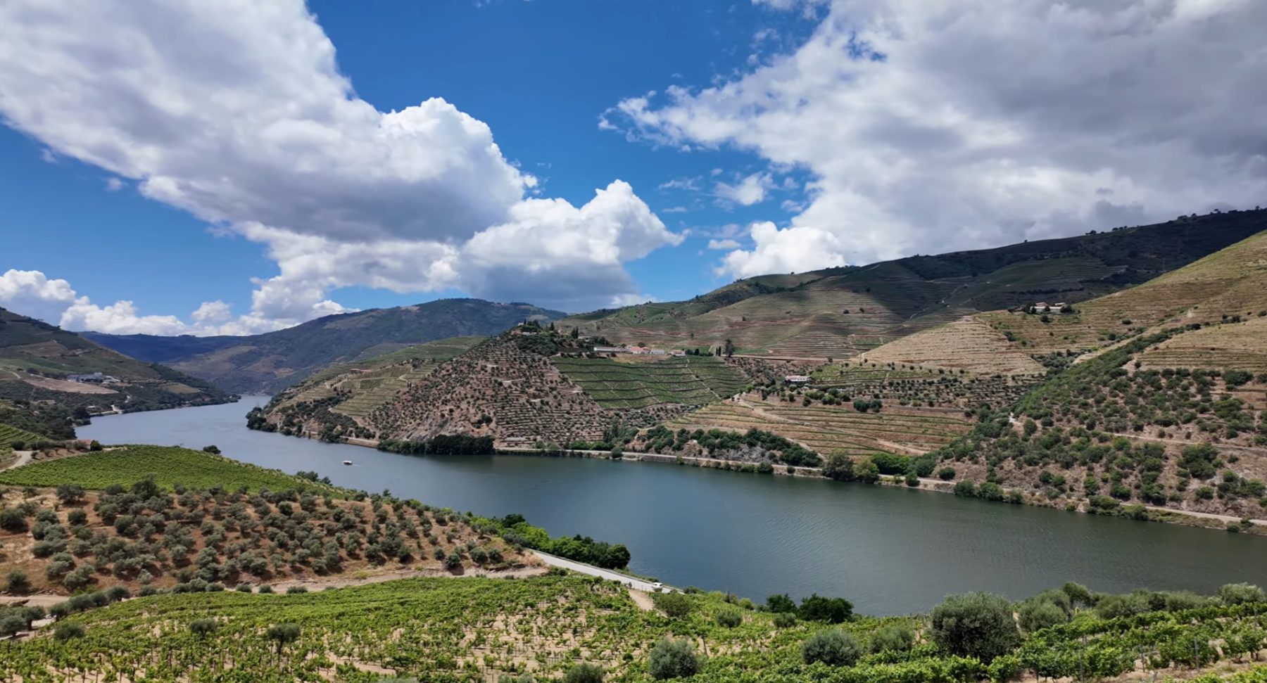 Douro Valley Vineyards