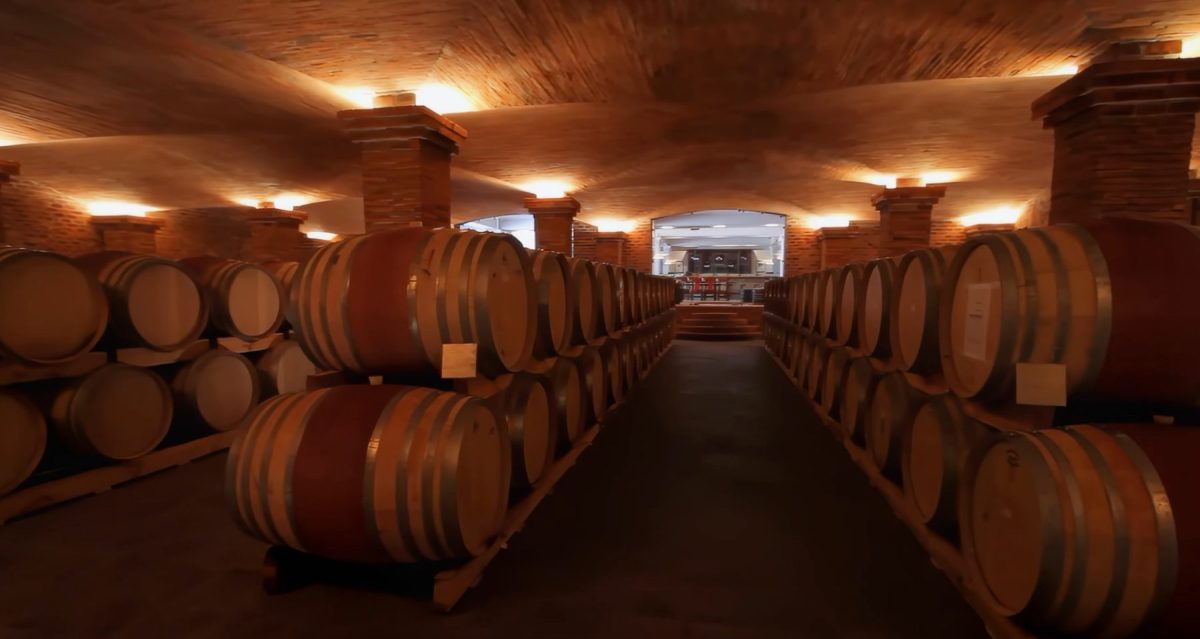 Port Wine Tour in Porto