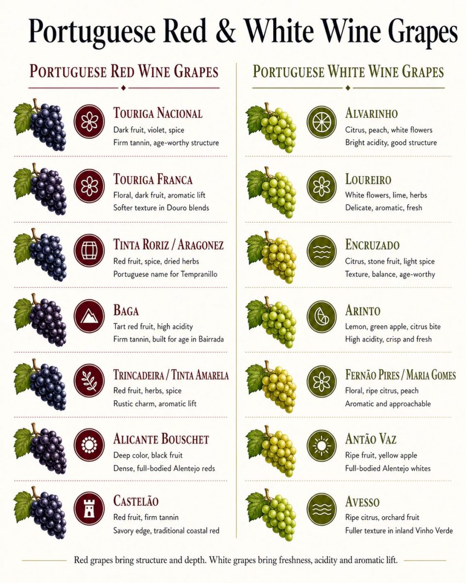 Portuguese red and white wine grapes infographic comparing Touriga Nacional, Touriga Franca, Tinta Roriz, Baga, Alvarinho, Loureiro, Encruzado and other key varieties