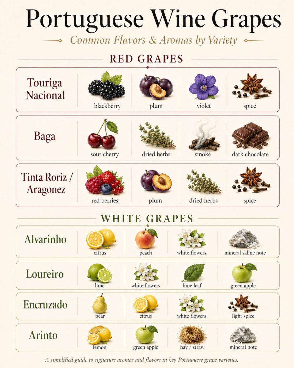 Portuguese wine grapes flavors and aromas guide showing red and white grape varieties with common flavor notes by variety
