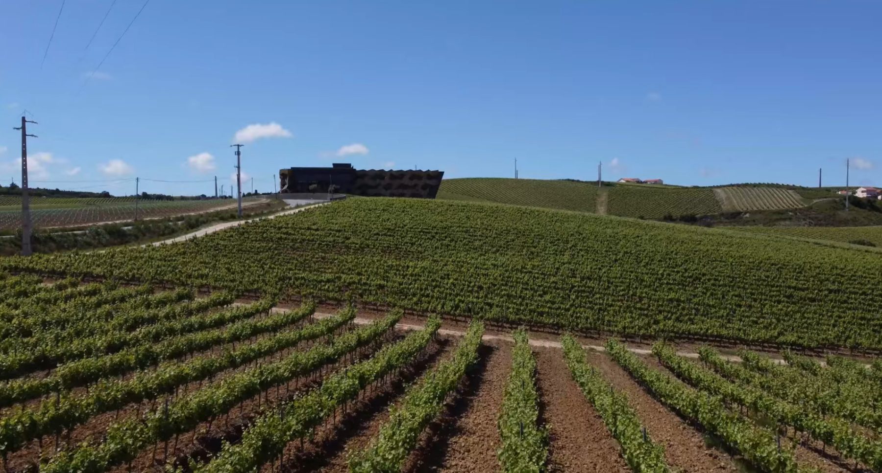 Private Wine Tour from Lisbon
