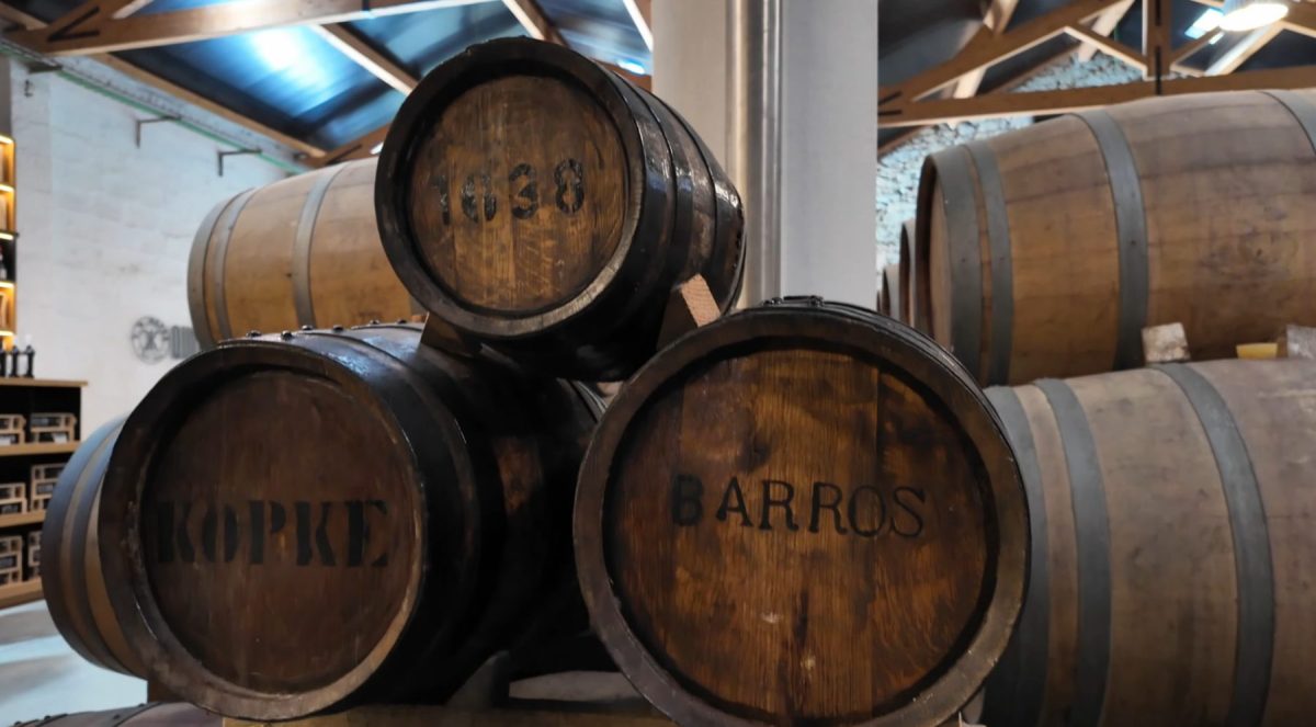 Douro Grapes to Gaia Barrels