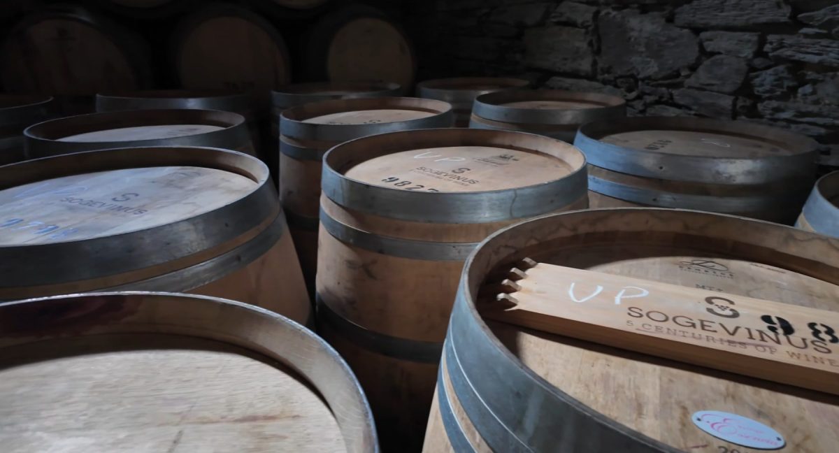 Porto Port Wine Tour with 7 Port Tastings