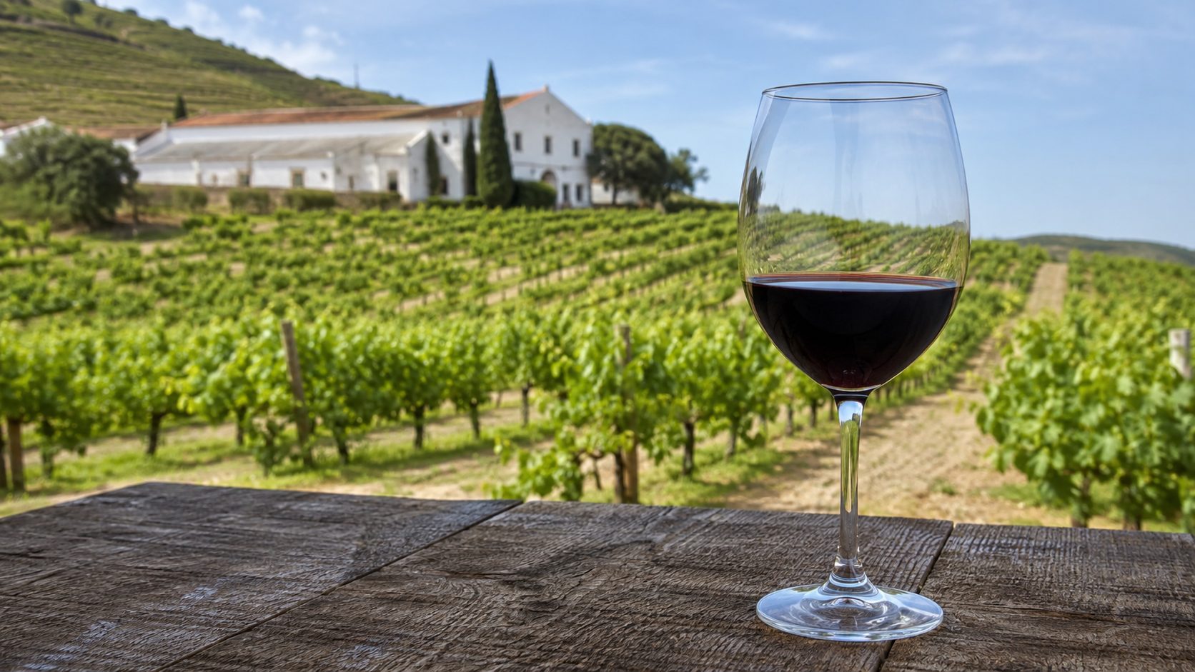 Private Wine Tour from Lisbon
