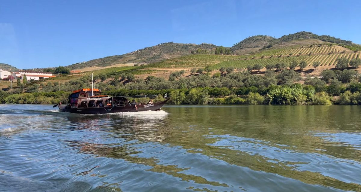 boat tour douro valley