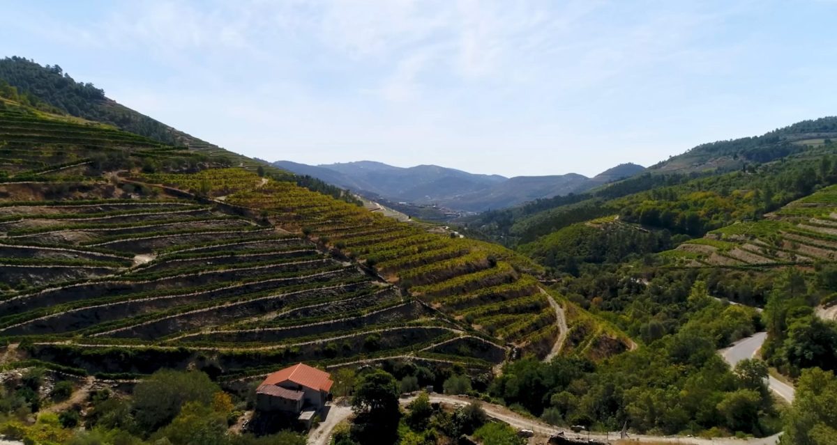 douro valley from porto