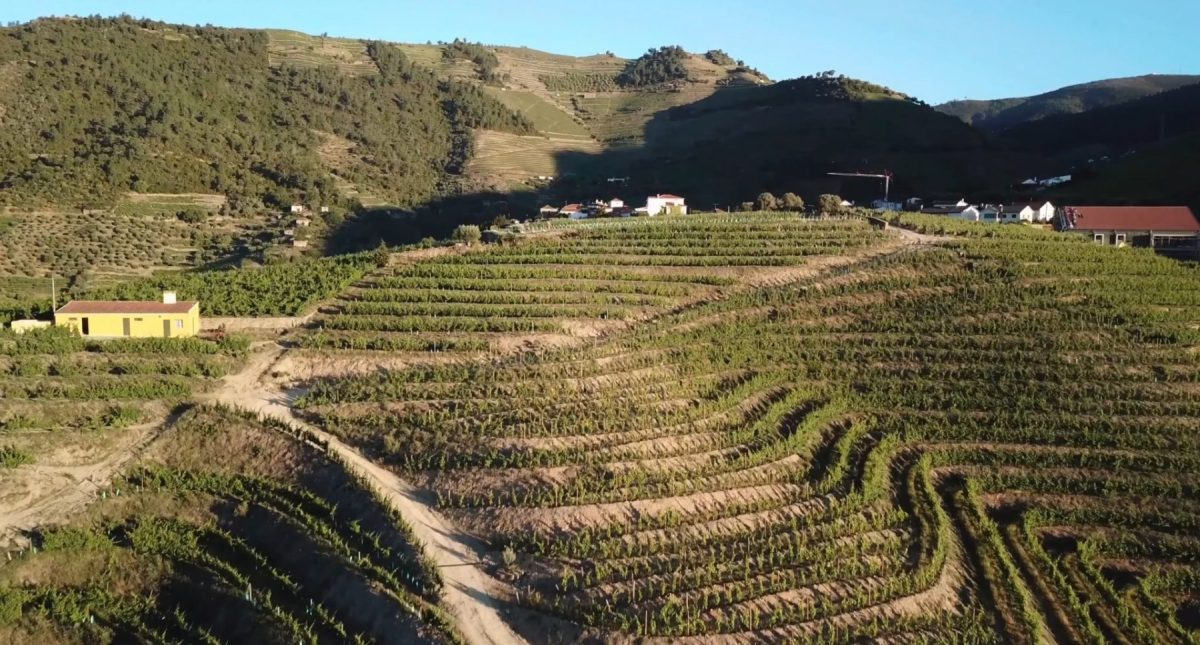 douro valley from porto
