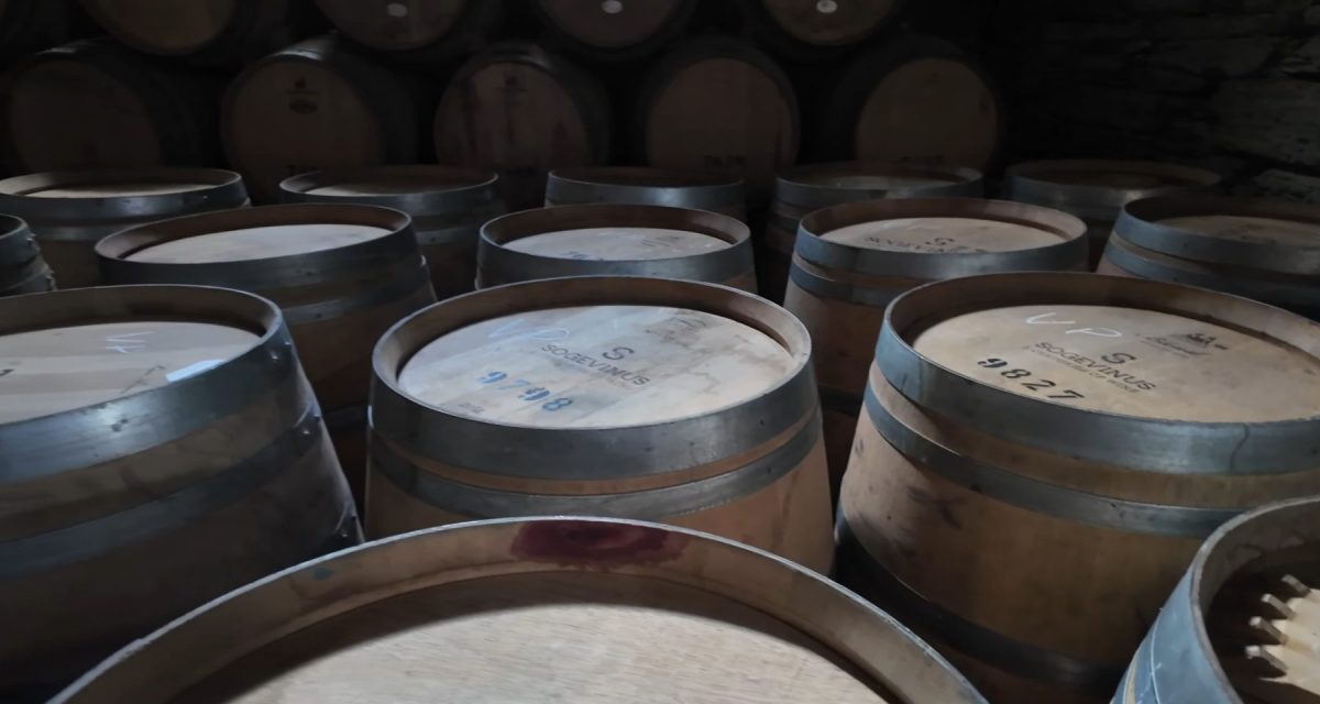 douro valley wine barrels