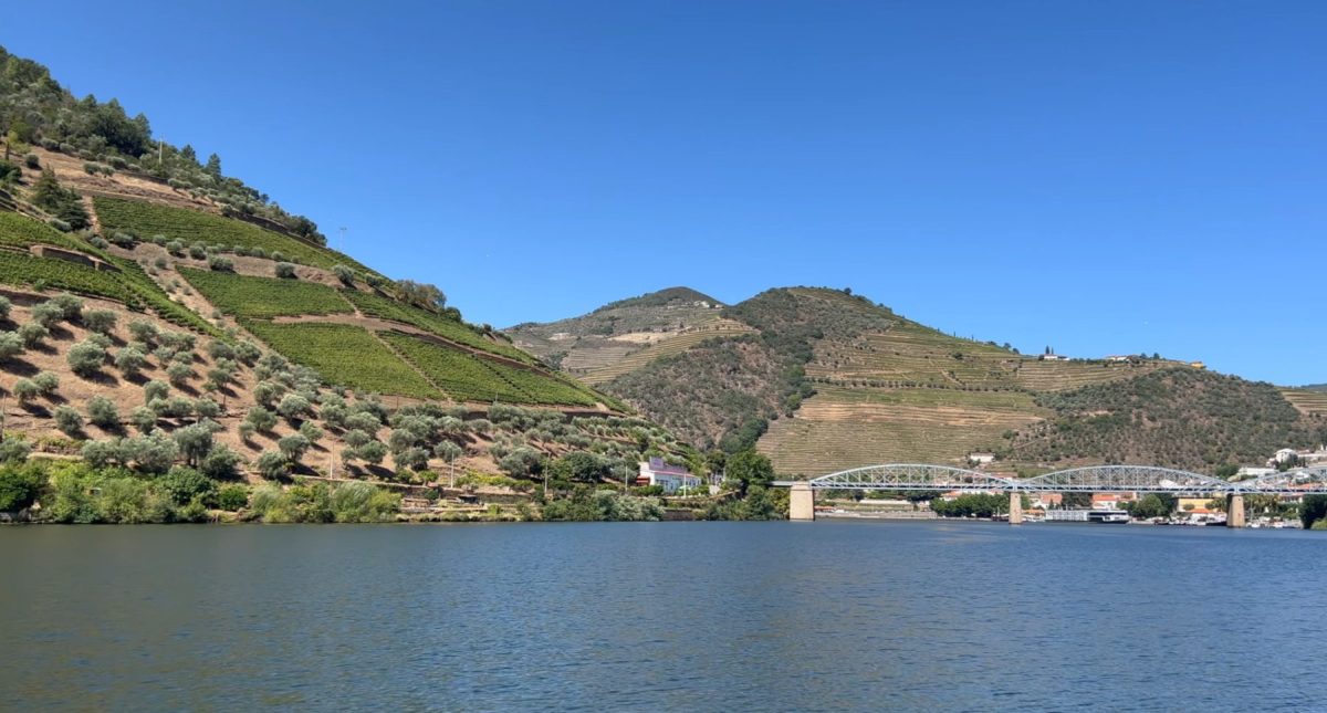douro valley wine tour from porto