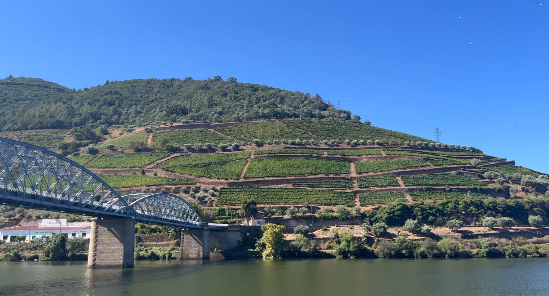 douro valley wine tour from porto 2